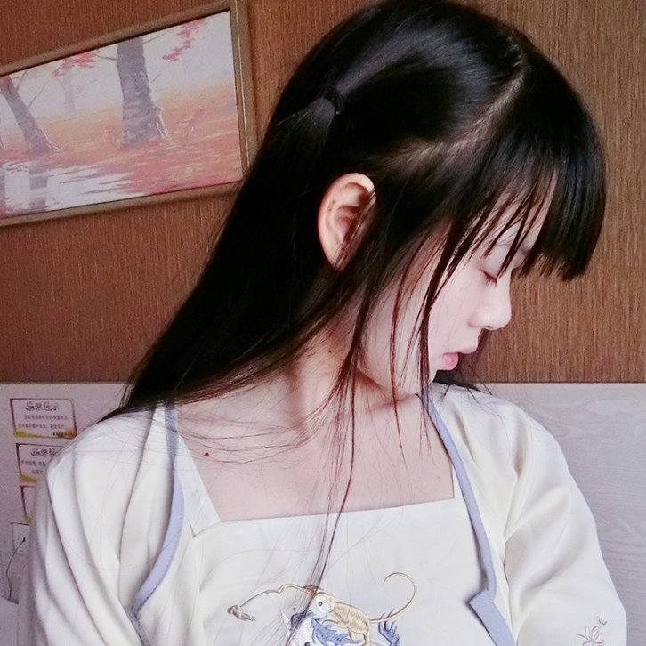 [24套]萝莉 西尔酱 最全合集[持续更新][百度网盘下载]